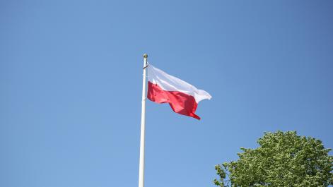 Powiększ zdjęcie