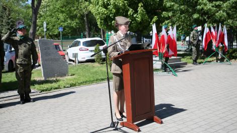 Powiększ zdjęcie