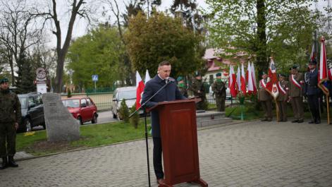 Powiększ zdjęcie