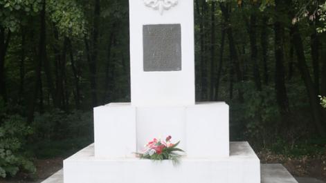 Powiększ zdjęcie