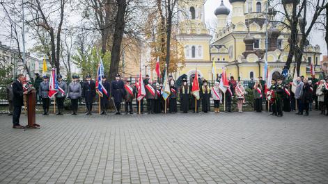Powiększ zdjęcie
