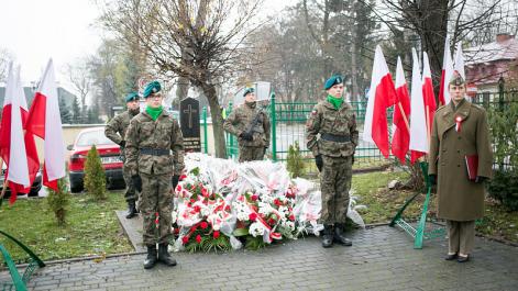 Powiększ zdjęcie