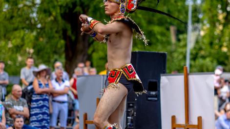 Powiększ zdjęcie
