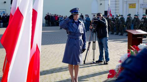 Powiększ zdjęcie