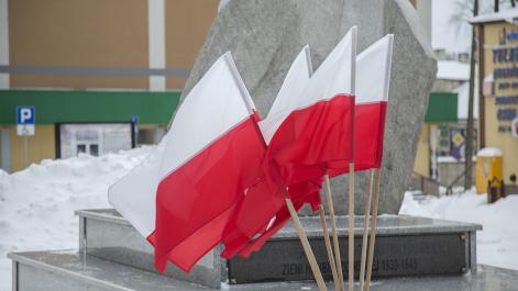 Powiększ zdjęcie