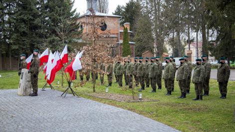 Powiększ zdjęcie