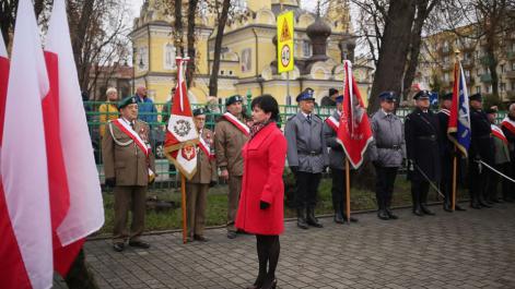 Powiększ zdjęcie