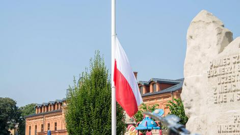 Powiększ zdjęcie