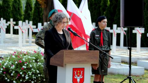 Powiększ zdjęcie