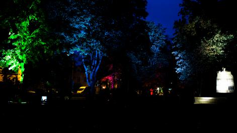 Powiększ zdjęcie