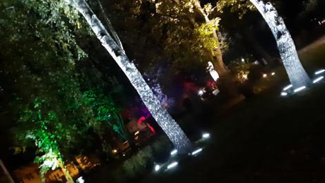 Powiększ zdjęcie